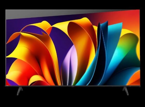 Tivi Hisense 65a6100n (1)