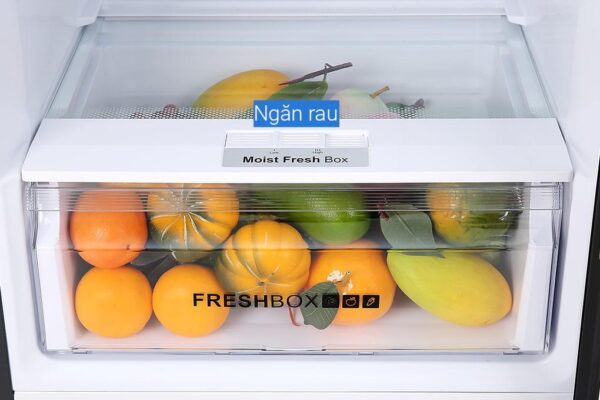 Tủ lạnh Aqua AQR-T389FA(WGB) - Hình ảnh 8